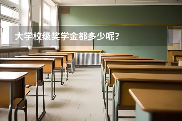 大学校级奖学金都多少呢？
