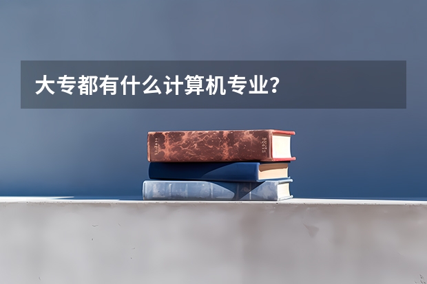 大专都有什么计算机专业？