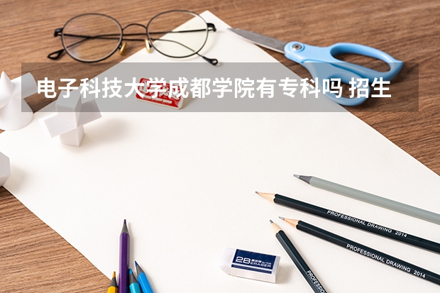 电子科技大学成都学院有专科吗 招生分数线是多少