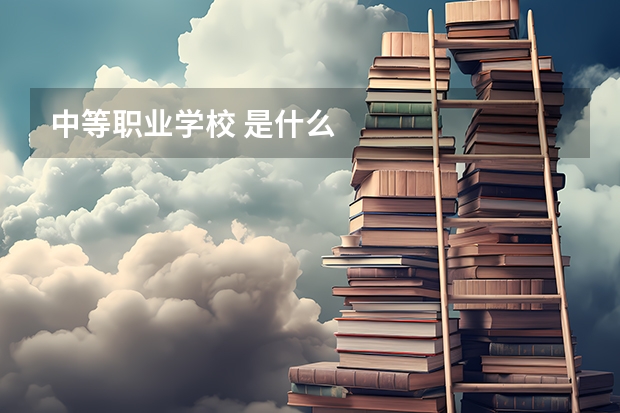 中等职业学校 是什么