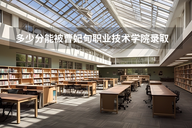 多少分能被曹妃甸职业技术学院录取