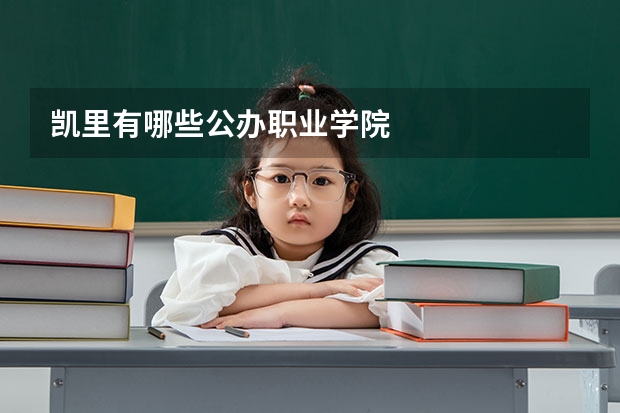凯里有哪些公办职业学院