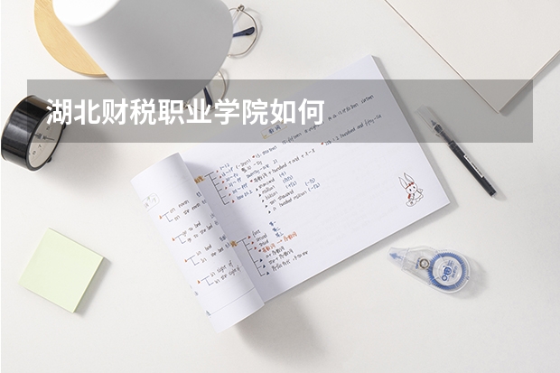 湖北财税职业学院如何
