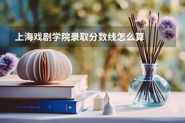 上海戏剧学院录取分数线怎么算