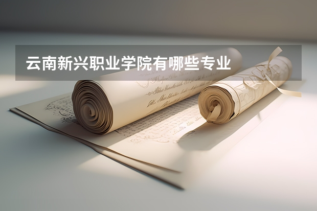 云南新兴职业学院有哪些专业