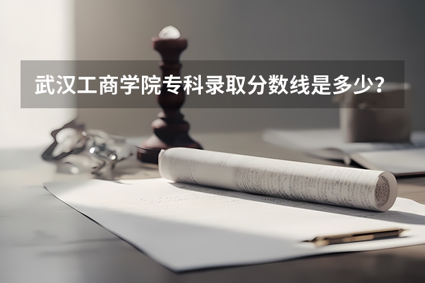 武汉工商学院专科录取分数线是多少？