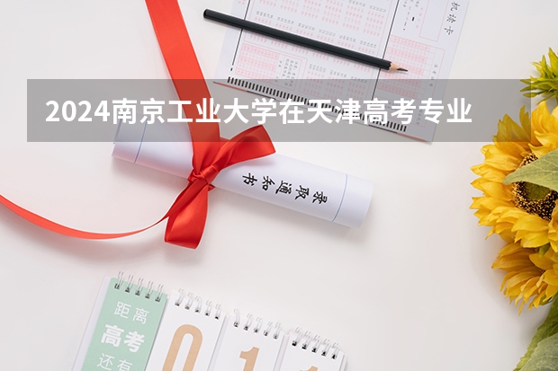 2024南京工业大学在天津高考专业招生计划人数