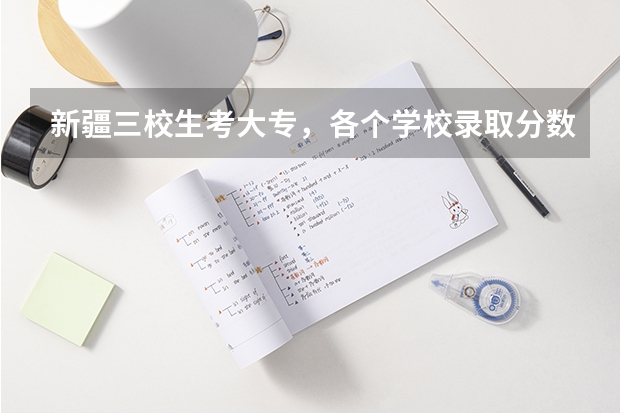 新疆三校生考大专，各个学校录取分数线是多少呀！